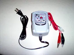 Hot Bodies Charger.webp