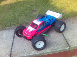 Picture(1).webp
