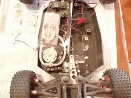 PA010265.webp