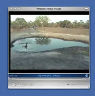 Screenshot_1.webp