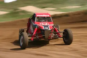 buggy.webp