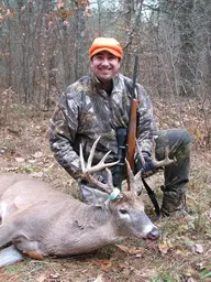 deer2.webp