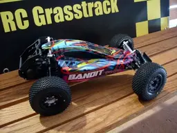 S6304636_Bandit resize.webp