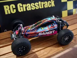 S6304637_Bandit resize2.webp