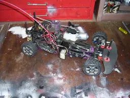 100_3559.webp