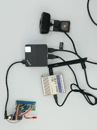 brain-nervous.webp