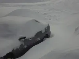 snow.webp