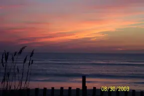 101_0118.webp