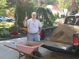 dirt in truck.webp