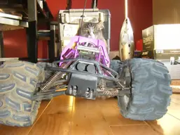 Broken shocks3.webp