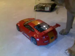29012010058.webp