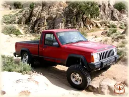 comanche.webp