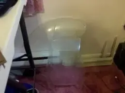 1305333202962.webp