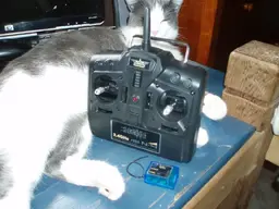 new radio.webp
