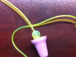 earPlug.webp