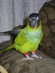 ImageUploadedByTapatalk1329701138.110498.webp