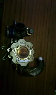 IMAG0197.webp