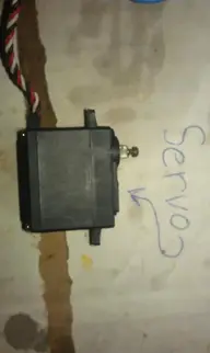 IMAG0211.webp