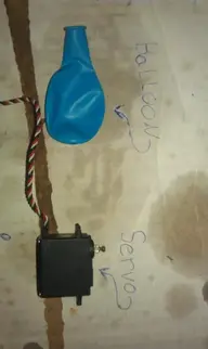 IMAG0212.webp