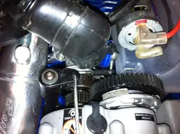 image.webp