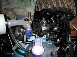 p1_1.webp