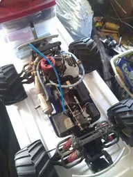 Small 262.webp