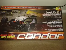 nitro buggy.webp