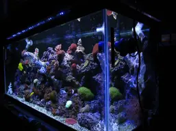 002.webp