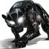 nitrocat