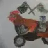 nitroroosta