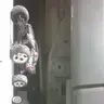 Autobodyguy