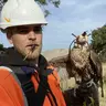 birdman375