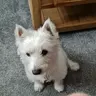 Howeller