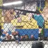 J.Longmire.MMA170