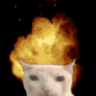 zloe