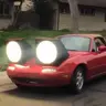 totoandamigo