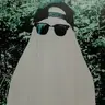 paytonimusrex