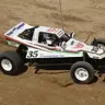 twiggs462