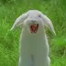 TunTun