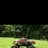 aaron030886