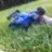 dubbiesRcs