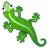 Lizard