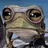 AeroFrog