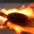 fireturtle