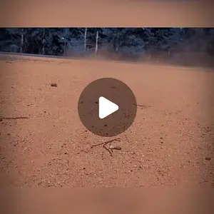 Losi Baja Rey 2.0 squarebody