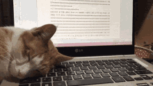 cat-asleep.gif
