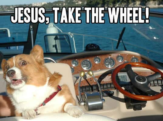 Scared-dog-Jesus-take-the-wheel-Meme.jpg