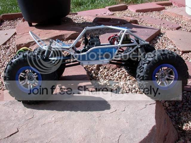 wt5.jpg