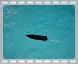 th_MOV00316.jpg