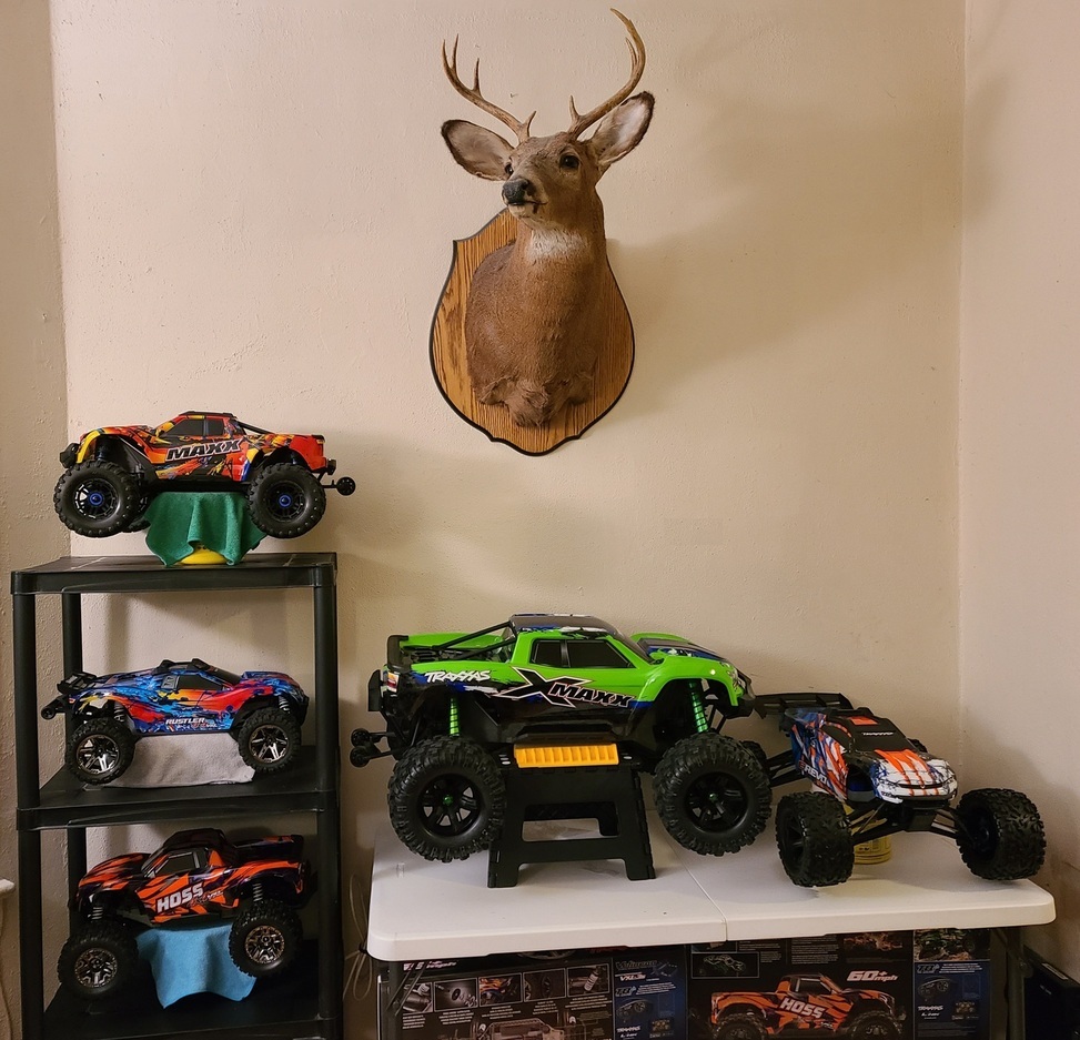 shelfqueensrs.jpg